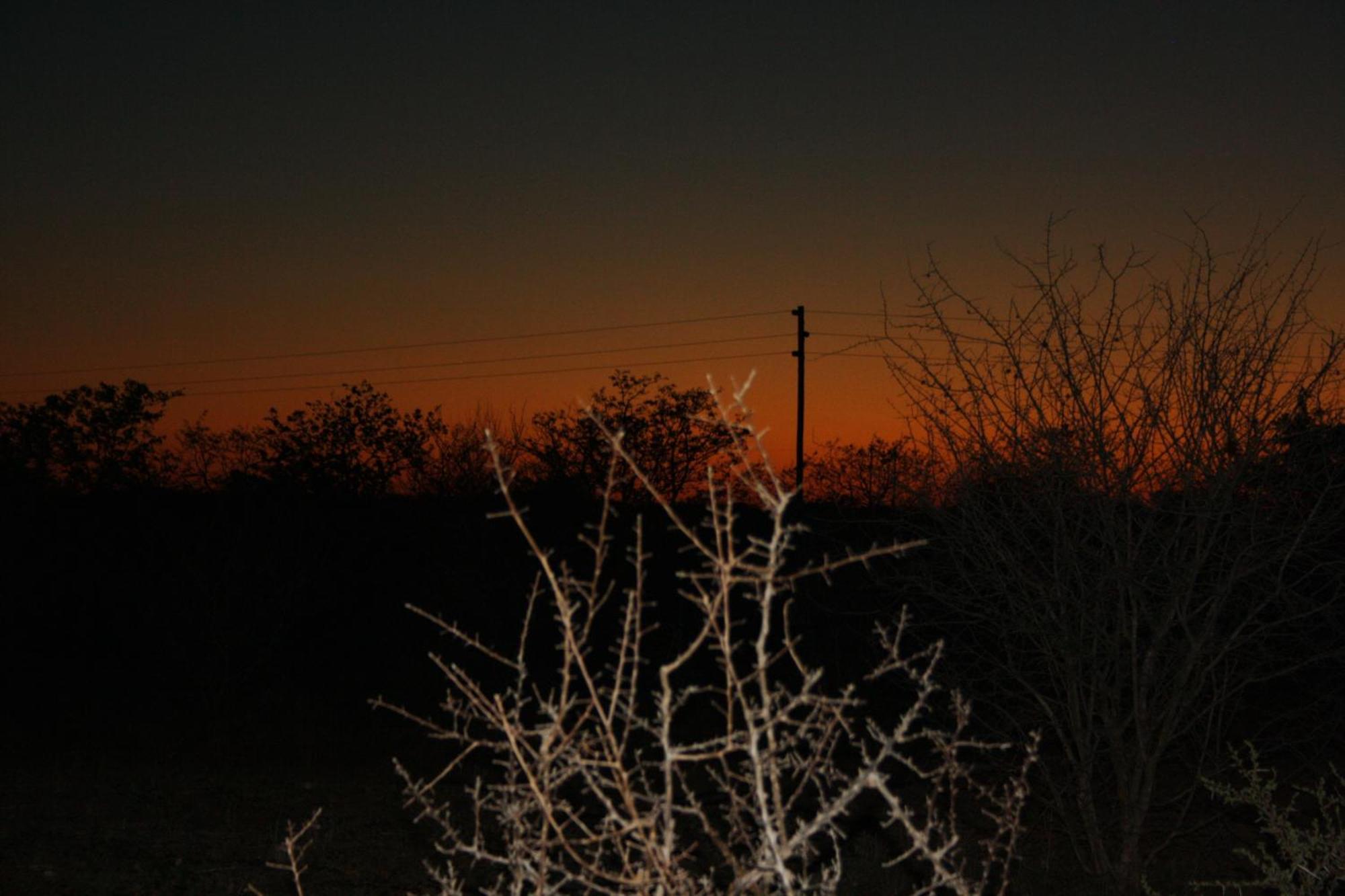 Normann Safari Bush Lodge พาลาบอร์วา ภายนอก รูปภาพ